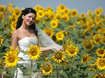 Foto Studio Enigma Nunta Oradea