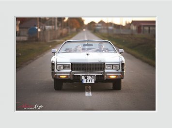 Vintage Cadillacs Nunta Oradea