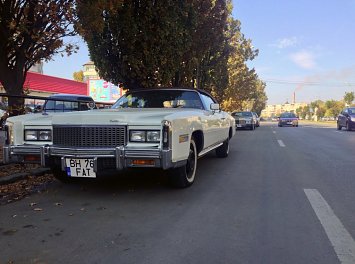 Vintage Cadillacs Nunta Oradea